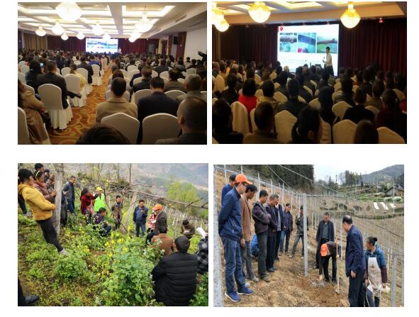 QQ截图20190419104402.jpg