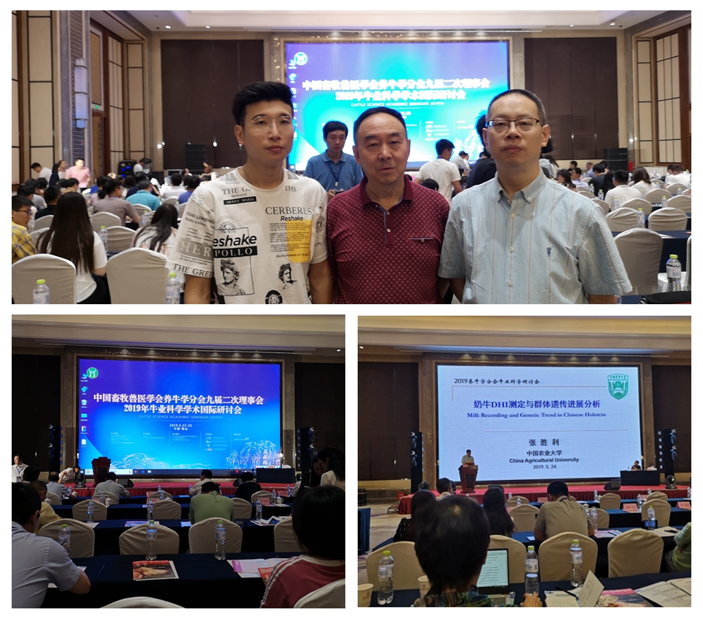 1559043853597054412.jpg 光影魔术手拼图.jpg