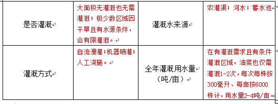 1573037554341077449.jpg 8.jpg