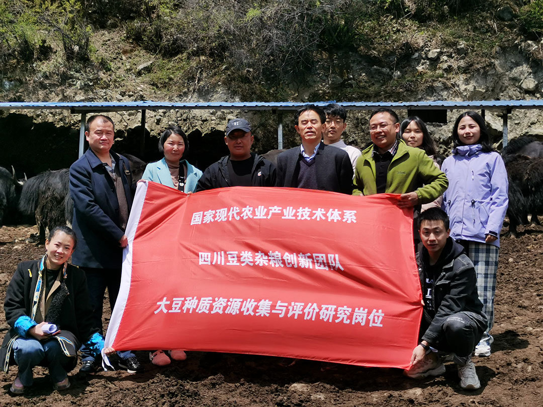 1619141215204056525.jpg 1619141215204056525.jpg