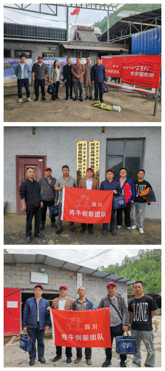 光影魔术手拼图.jpg