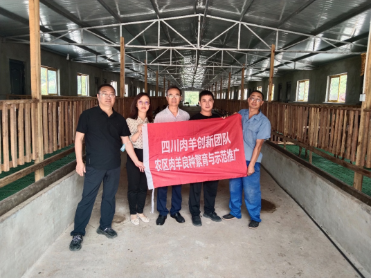 肖龙-农区良种繁育与示范推广岗位第4篇（南江调研）500.png