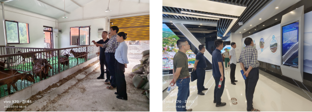 7-12 品种改良与选育岗位专家赴南江县开展技术指导371.png