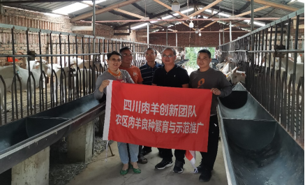 肖龙-农区良种繁育与示范推广岗位第8篇（游仙调研）491.png