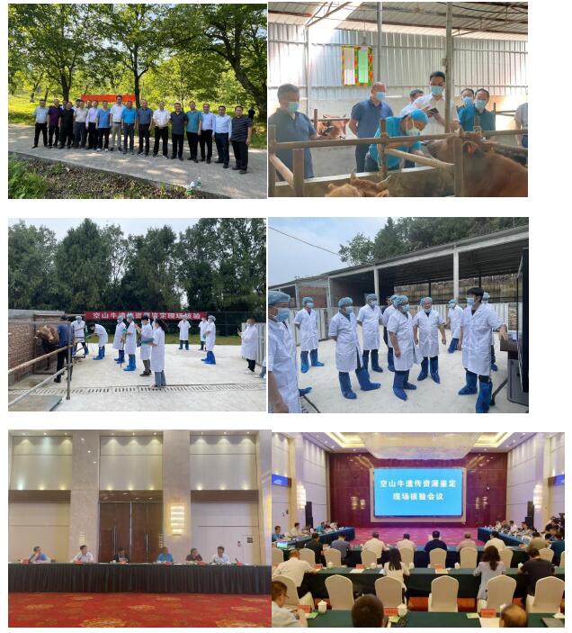 QQ截图20230613163821.jpg