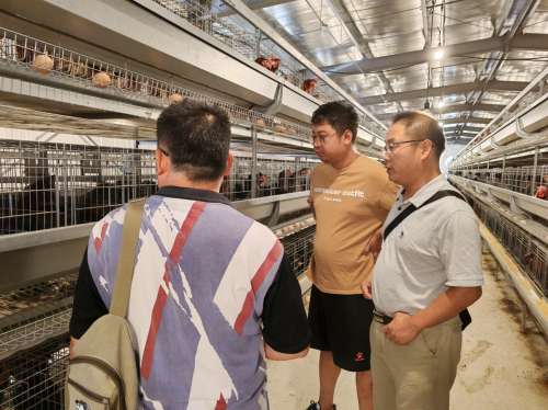 1724147480416023971.png 刘益平-石棉草科鸡技术服务1.png