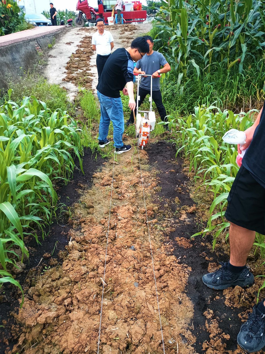 66.jpg
