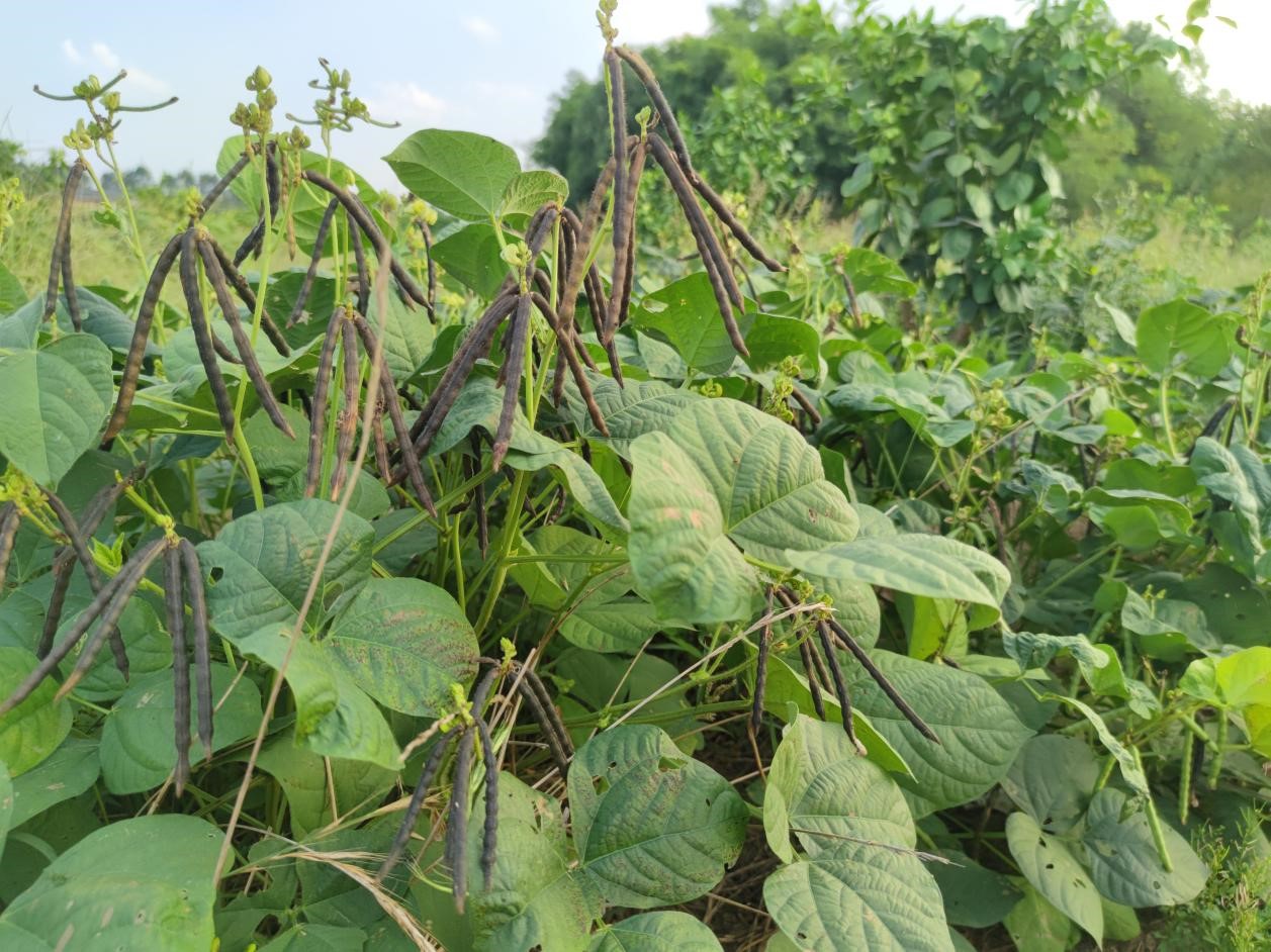 1725326837904026886.jpg 1725326837904026886.jpg