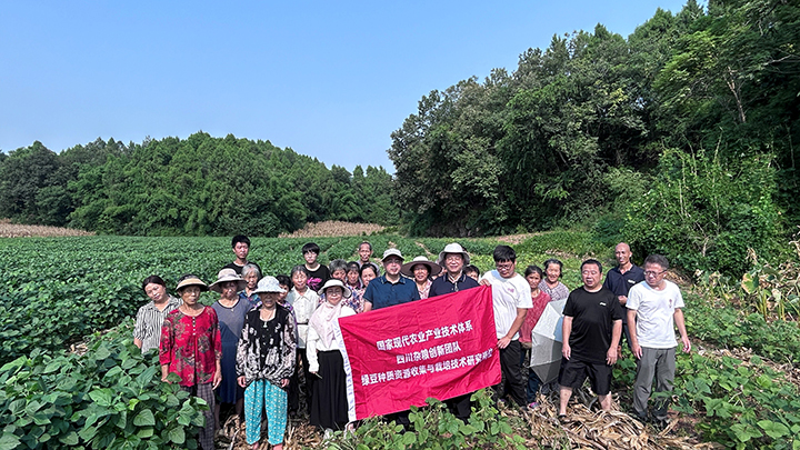 1725327481085003574.jpg 17-1.jpg