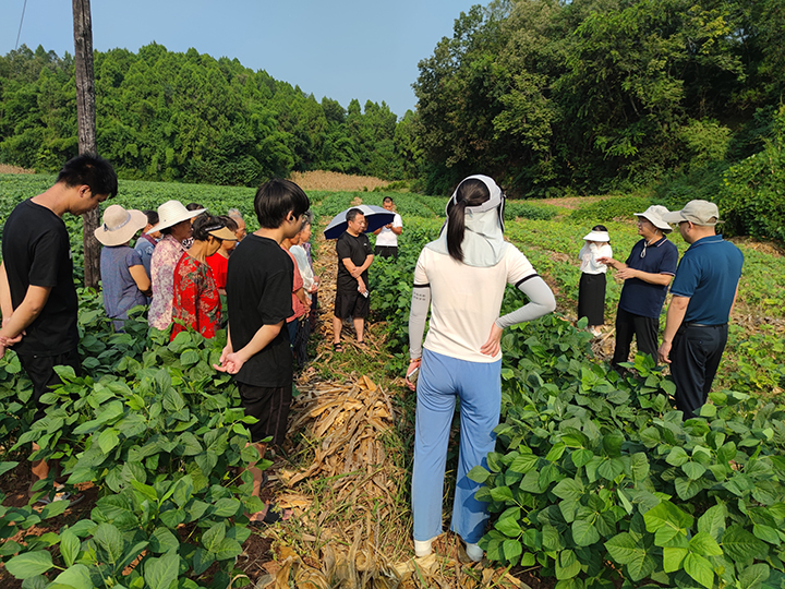 1725327494190088496.jpg 17-2.jpg