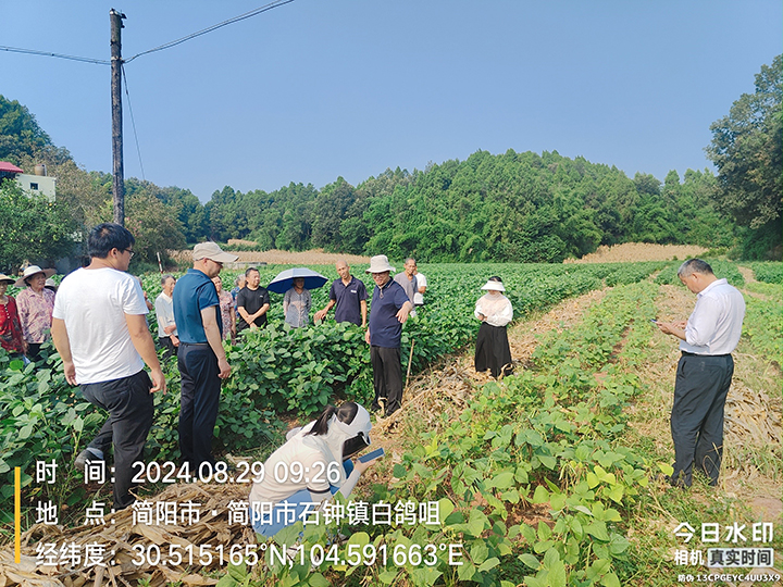 1725327506380071889.jpg 17-3.jpg