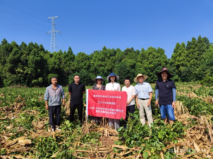 1727104652792089477.jpg 图片8.jpg