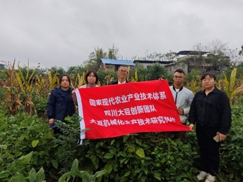 1729007158400029892.jpg 图片39.jpg