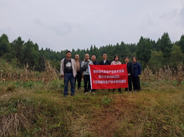 1729007258008091782.jpg 图片41.jpg