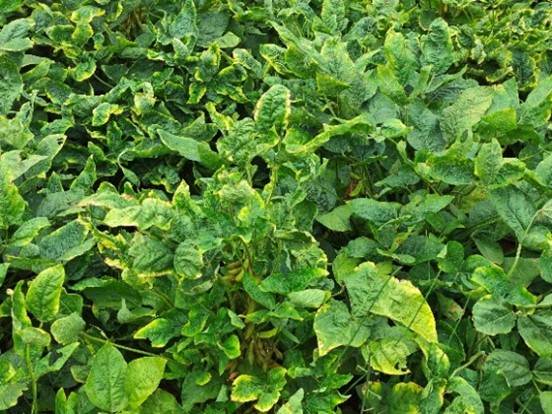 1729007392007041662.jpg 图片43.jpg