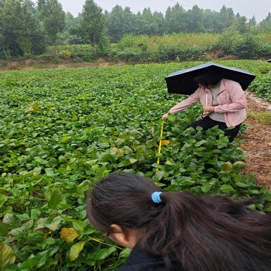 1729007488077075889.jpg 图片44.jpg