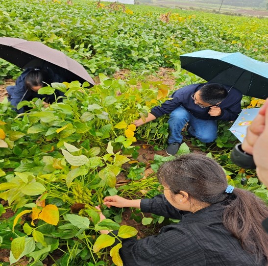 1729007534515074594.jpg 图片45.jpg