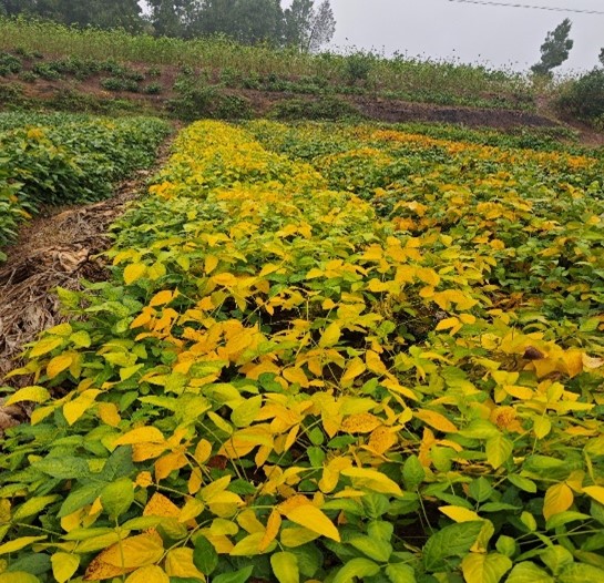 1729007558660098562.jpg 图片46.jpg