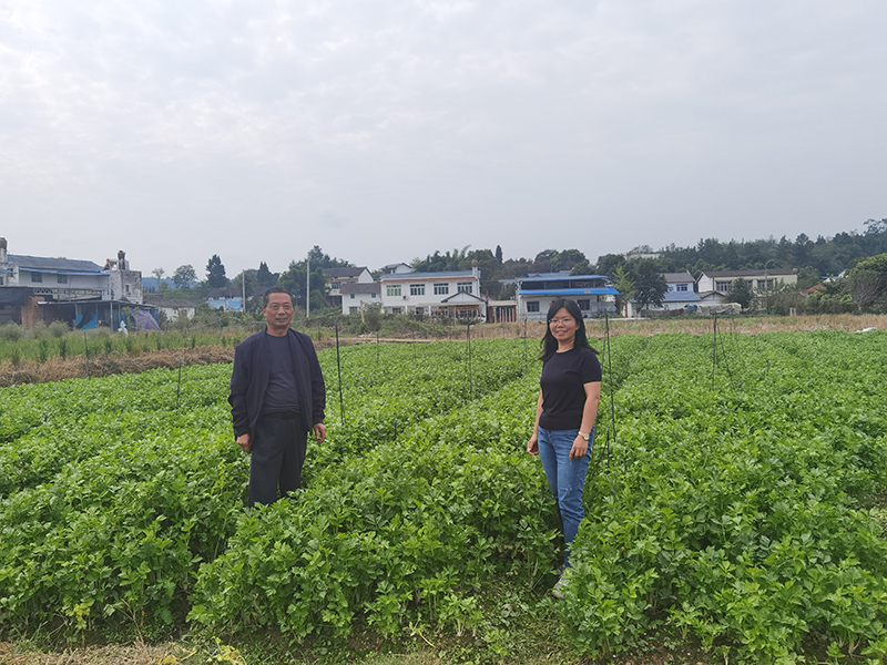 1729846786878028020.jpg 2024.10.10江油市科技服务.jpg