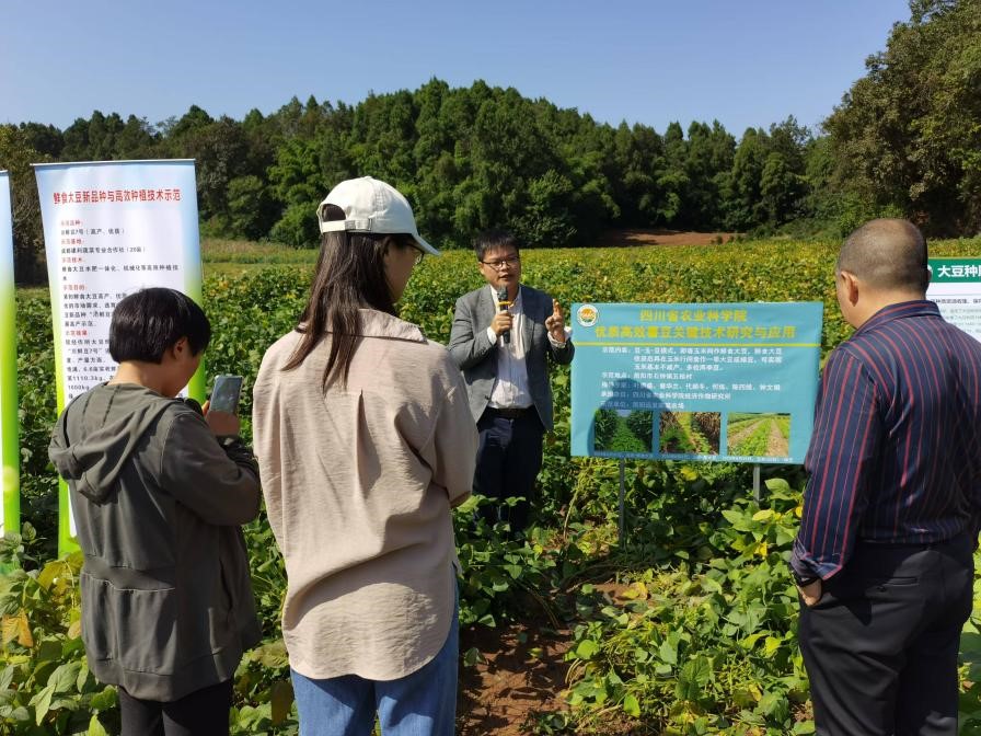 1730341910430072566.jpg 1730341910430072566.jpg