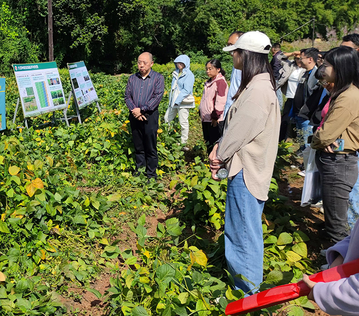 1730342028164074776.jpg 19-2.jpg