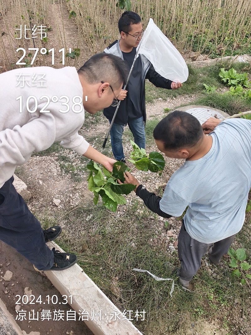 1731033706798083339.jpg 3-3.jpg