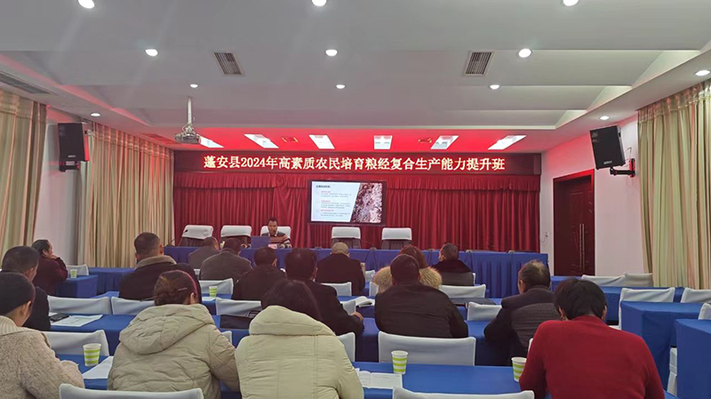 1734485677764098332.jpg 1.jpg