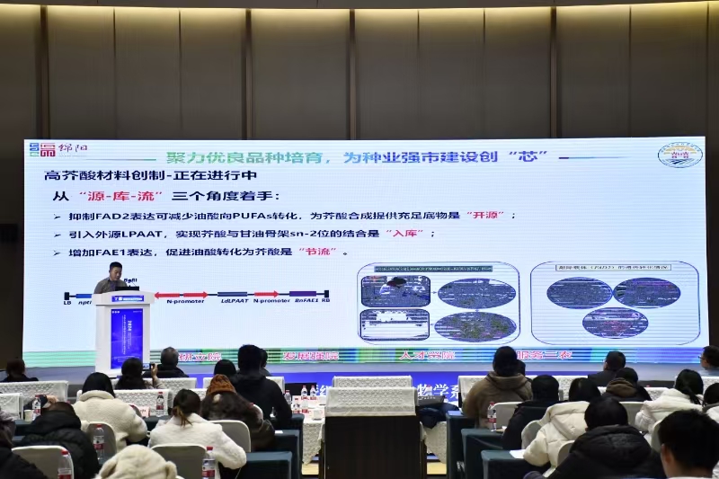 微信图片_202412181628071.jpg
