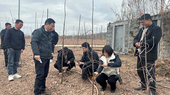 图片1.jpg
