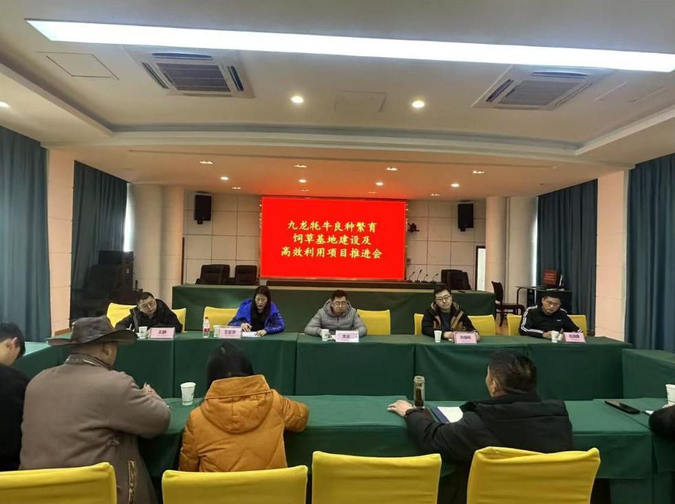 截图录屏_选择区域_20250317163747.png