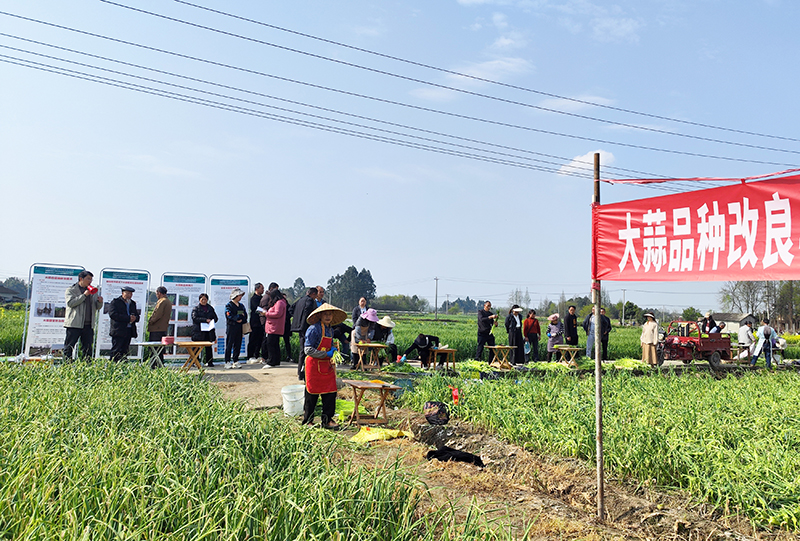 20250403彭州葛仙山培训 (2).jpg