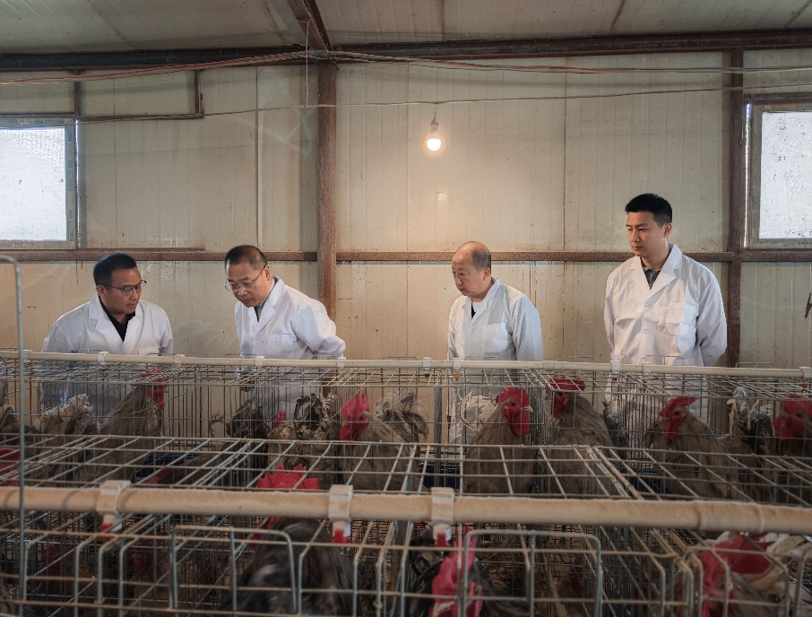 1745128589701076237.png 4.16-刘益平岗位-广元.png