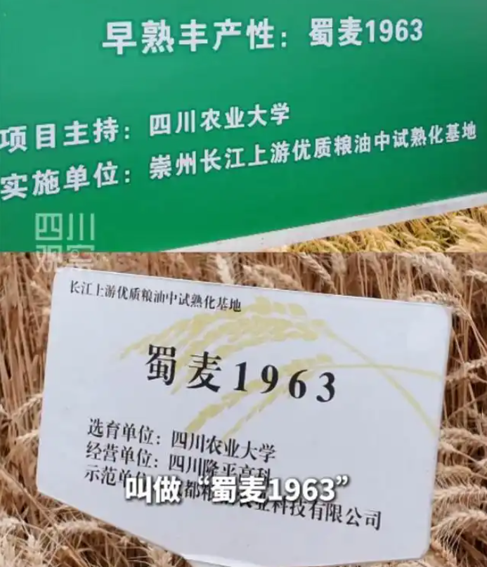 1747789440730097472.png 2.png