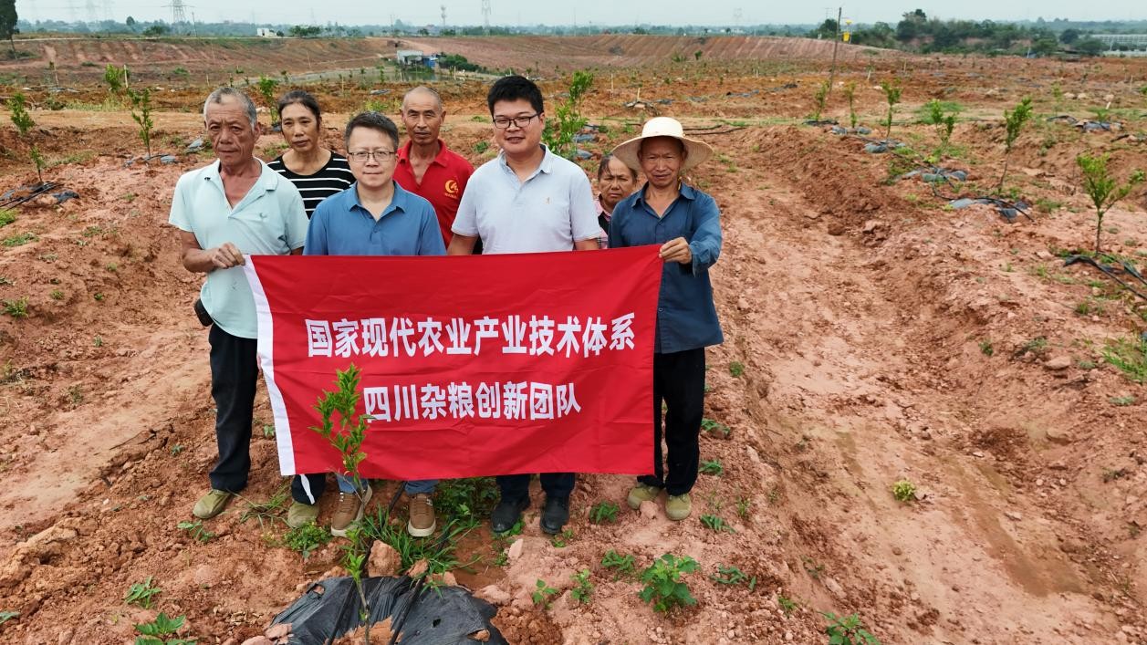 1749463008386077126.jpg 1749463008386077126.jpg