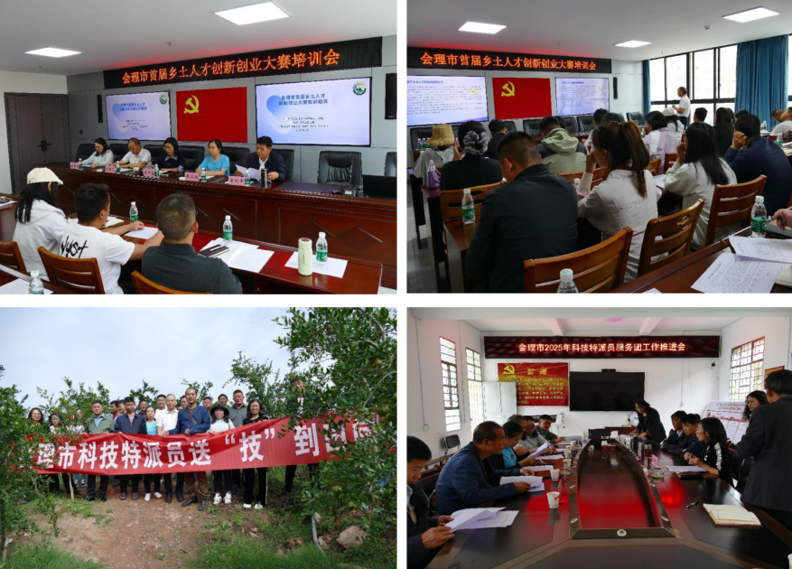微信图片_20250616165619_86.png