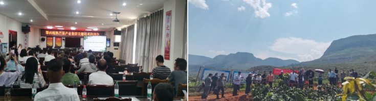 微信图片_20250617100909_87.png