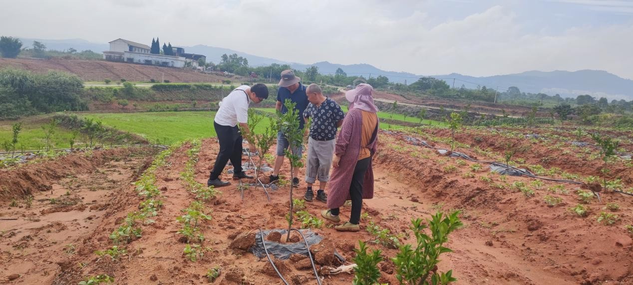 1750837918271027179.jpg 1750837918271027179.jpg