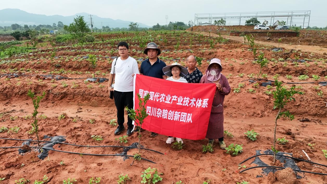 1750837939553072779.jpg 1750837939553072779.jpg