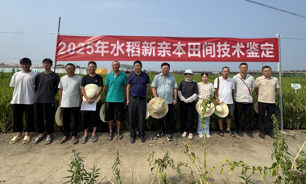 1754471227982041509.png 1754471227982041509.png