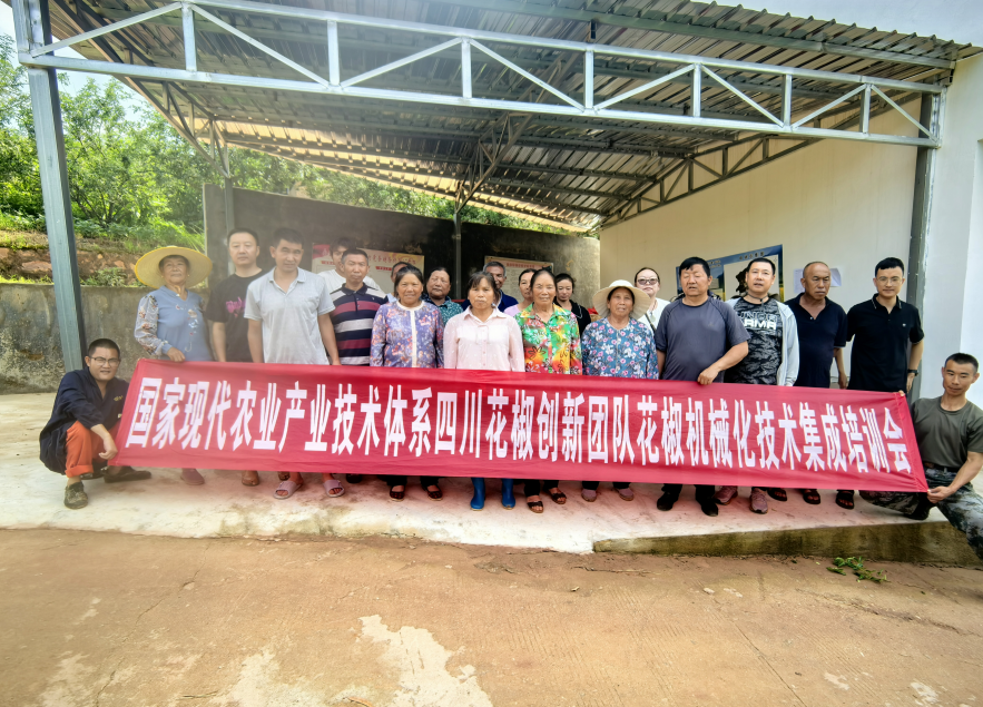 截图_选择区域_20250811085701.png