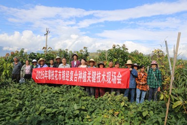 图片68.jpg