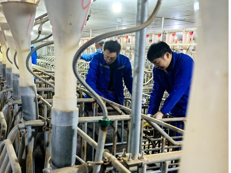 1769657182806061397.jpg 图片1.jpg