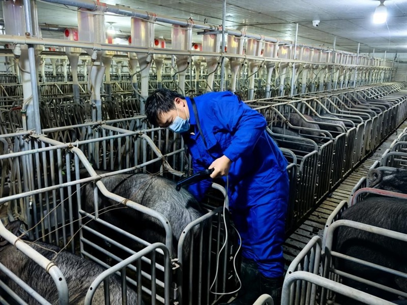 1769657190333017714.jpg 图片2.jpg