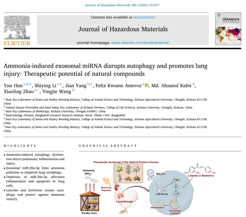 1773974965214053288.png 3.11赵小玲创新团队.png