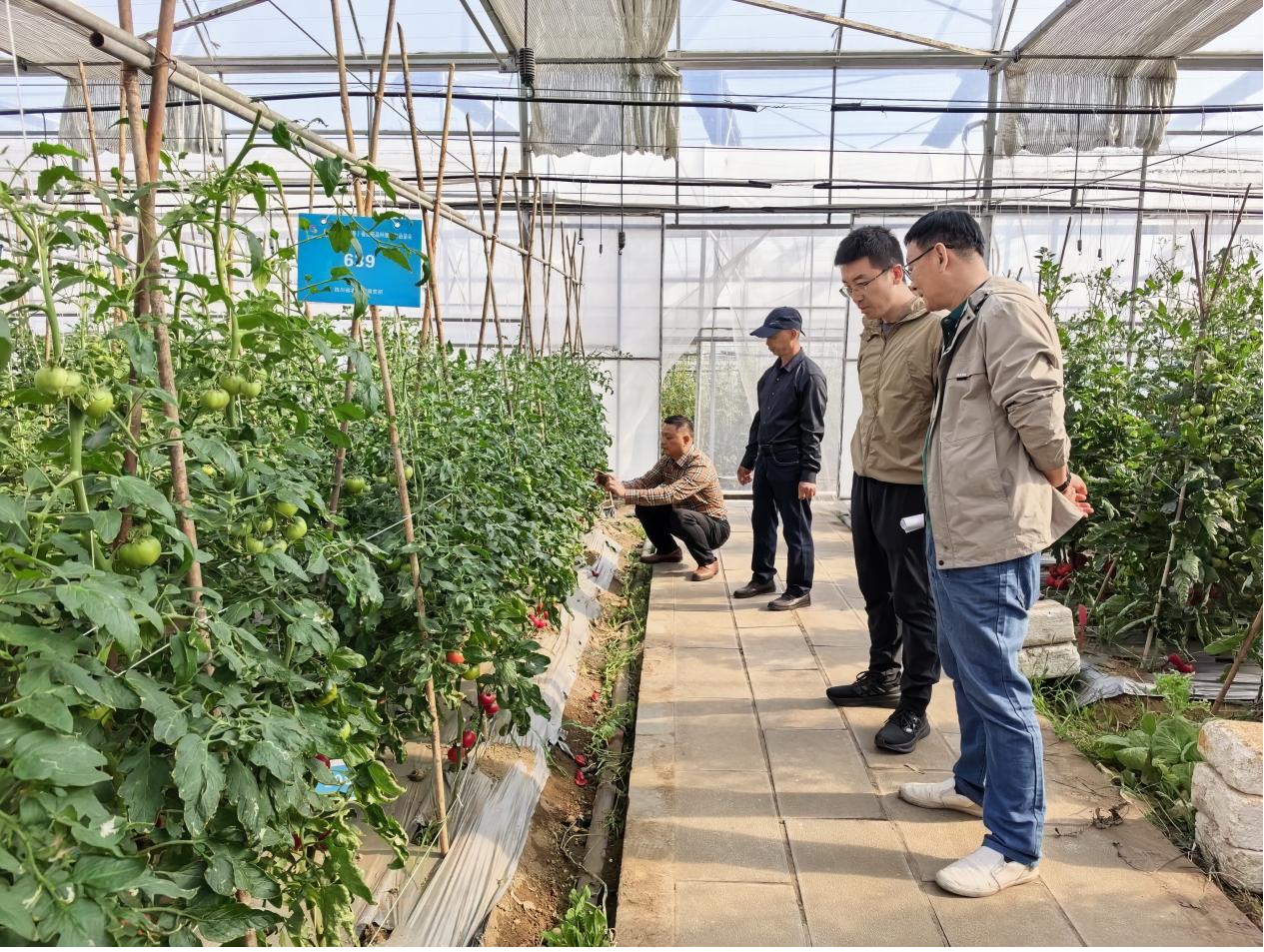 1775440471981039317.jpg 1775440471981039317.jpg