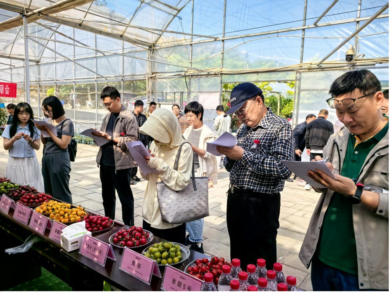 1775440472024044824.jpg 1775440472024044824.jpg