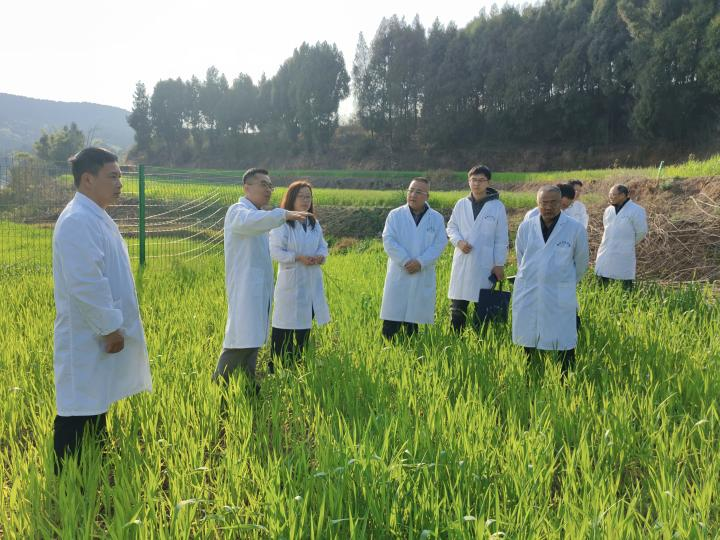 2026.3.11省草业中心到院调研指导1.png