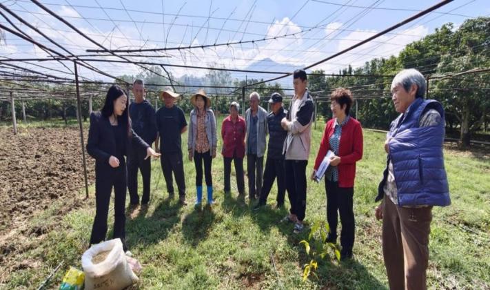 林佳-2026.5.1-林果茶桑园间套作大豆关键技术研究与集成示范岗位赴攀枝花市米易县开展黄花油茶套种大豆春季管理技术培训.jpg